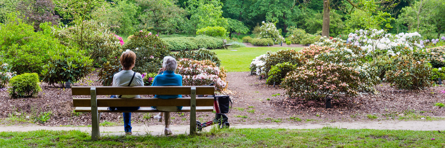 elderly couple sitting on a bench at the park